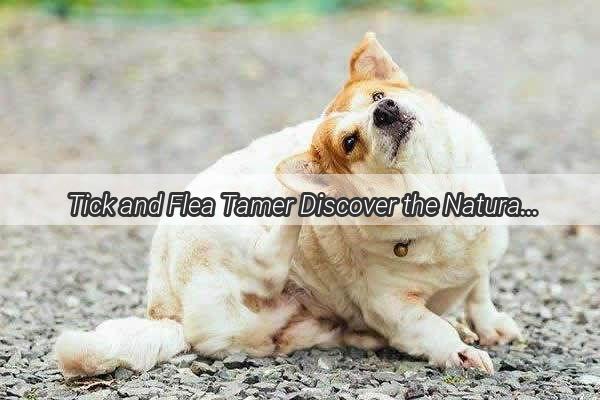 Tick and Flea Tamer Discover the Natural Ways Your Pooch Keeps Pesky Parasites at Bay